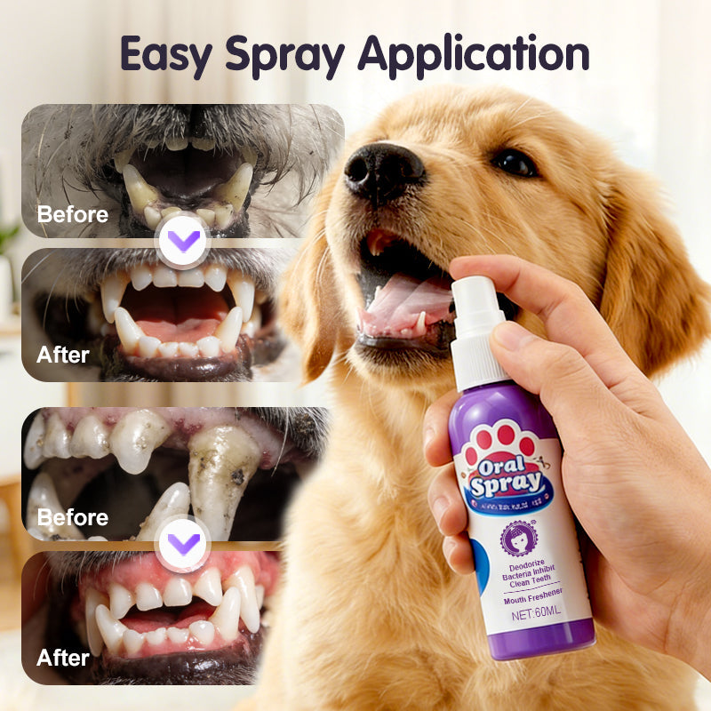 Vandaag tijdelijk💥 koop 2 en krijg 1 gratis 🐾✨Mondverzorging en reinigingsspray voor huisdieren